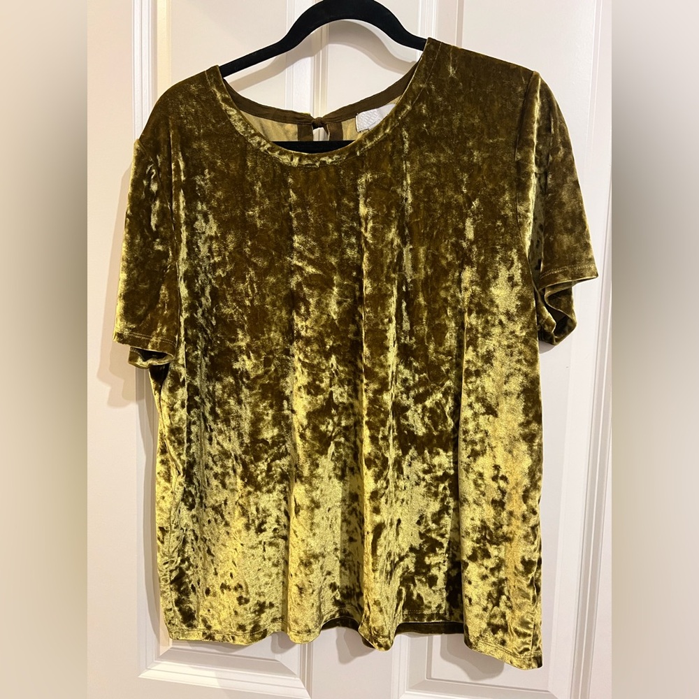 14th & Union velvet short sleeve top, size XL.